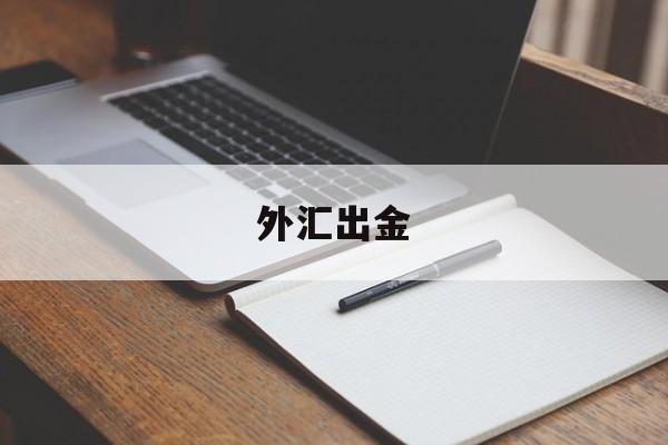 外汇出金(外汇出金最快的公司)